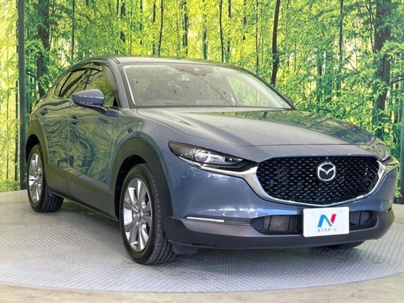 CX-30