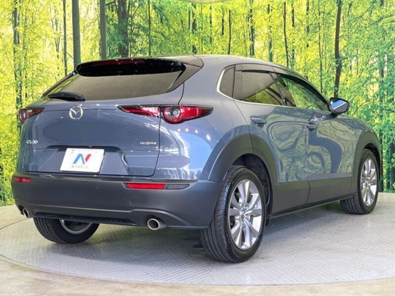 CX-30