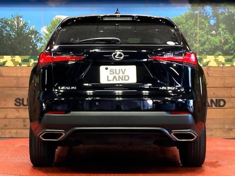 NX
