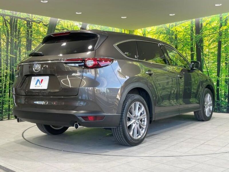 CX-8