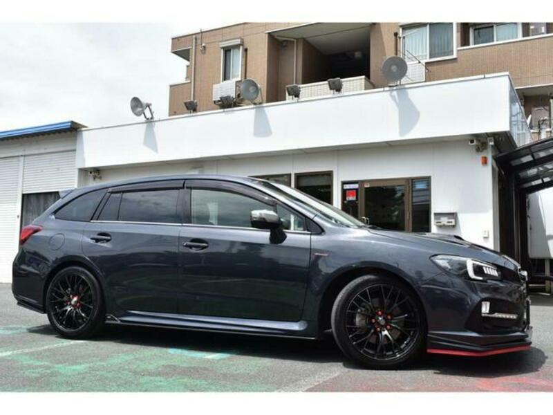 LEVORG