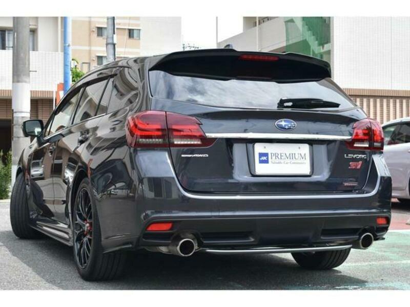 LEVORG