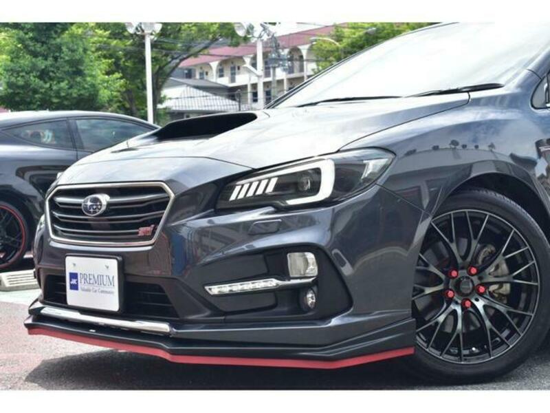 LEVORG