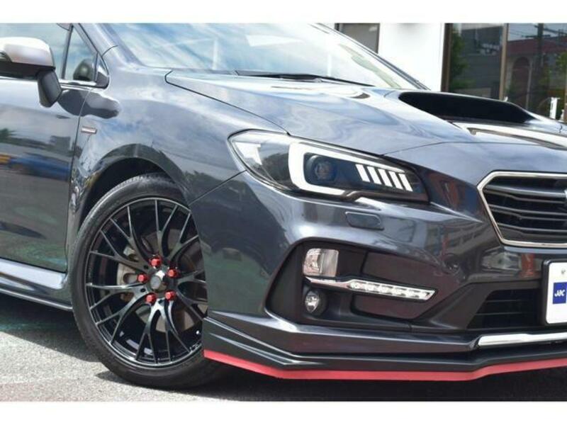 LEVORG