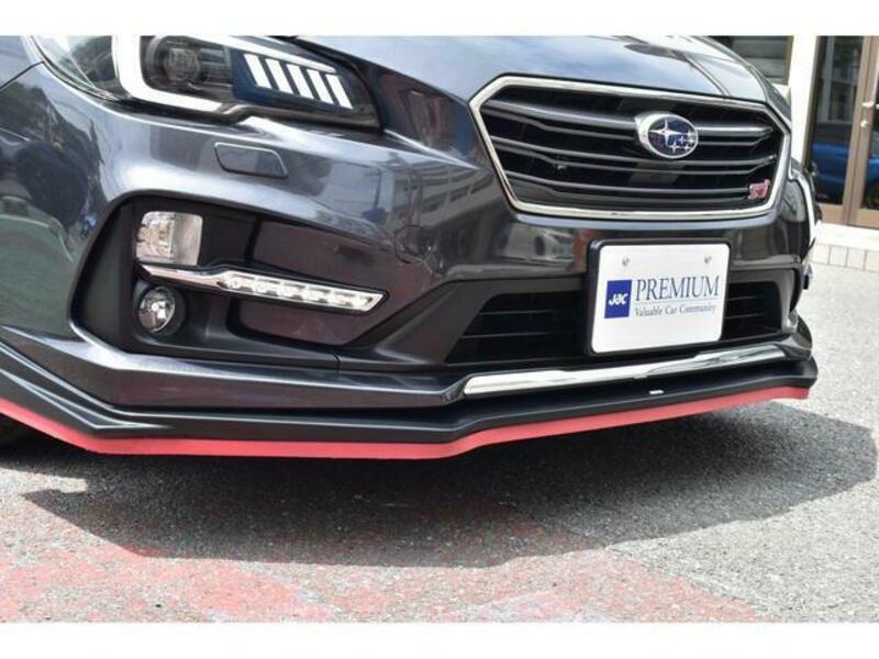 LEVORG
