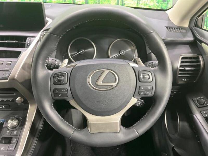 NX