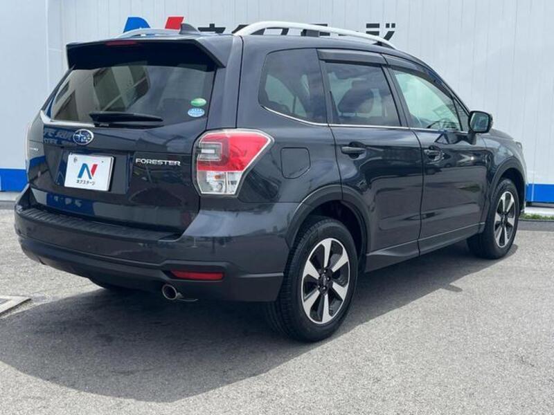 FORESTER