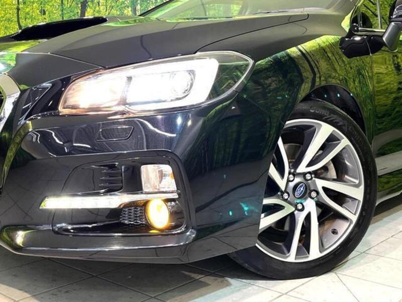 LEVORG