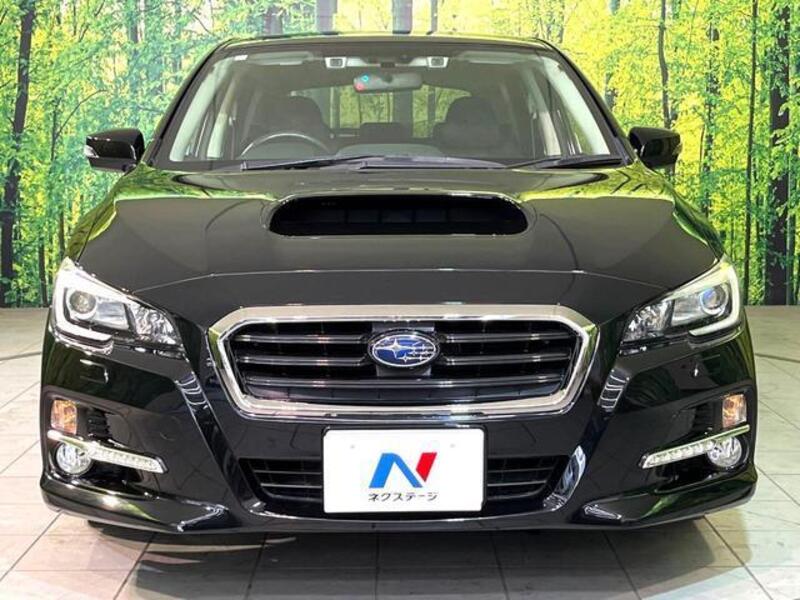 LEVORG