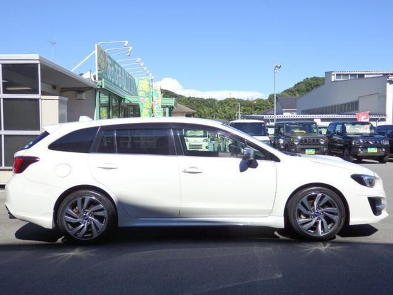 LEVORG