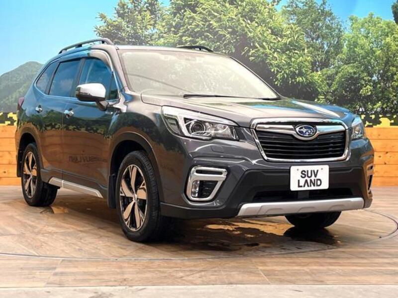 FORESTER