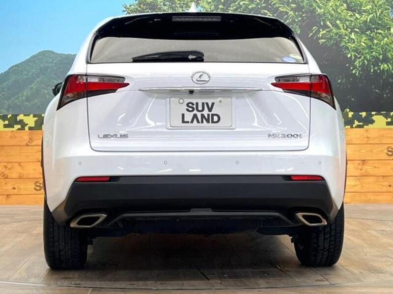 NX