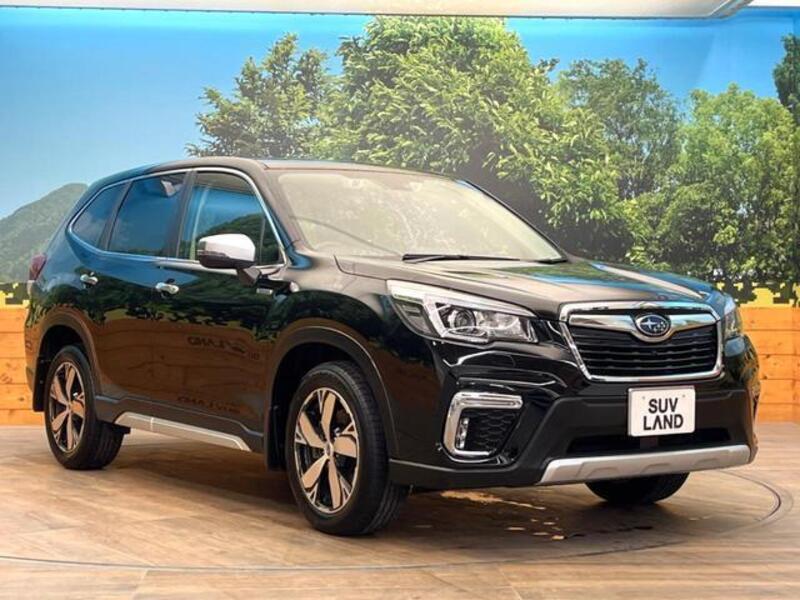 FORESTER