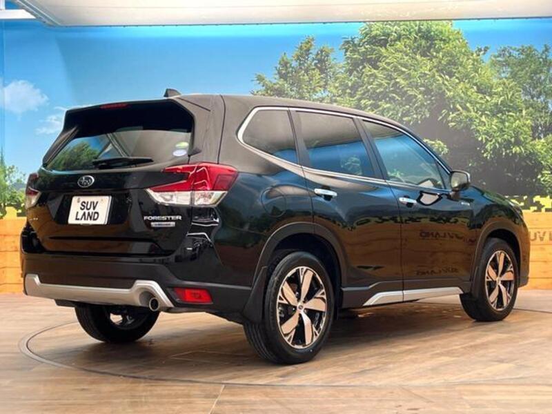 FORESTER