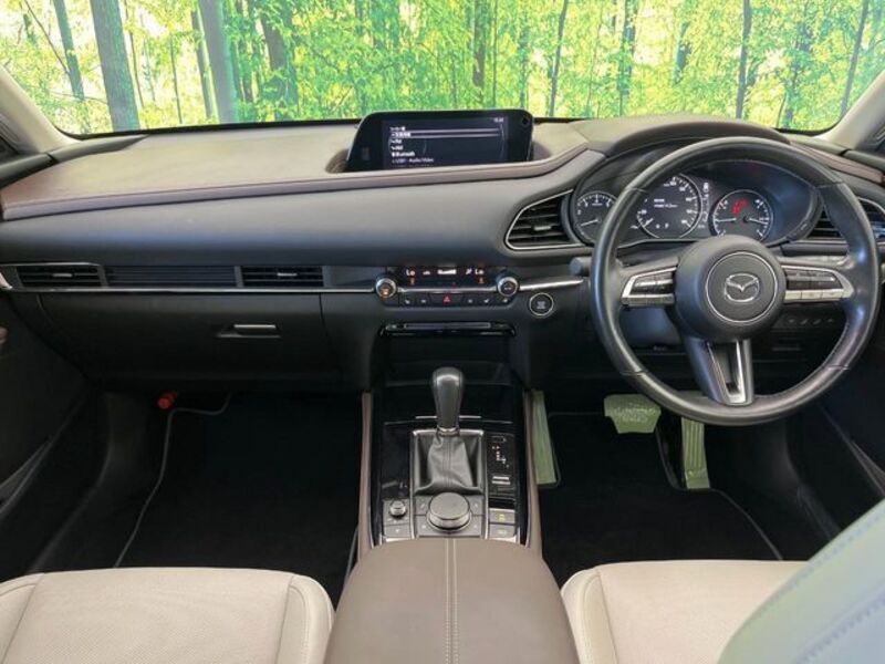CX-30
