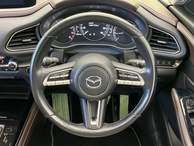 CX-30