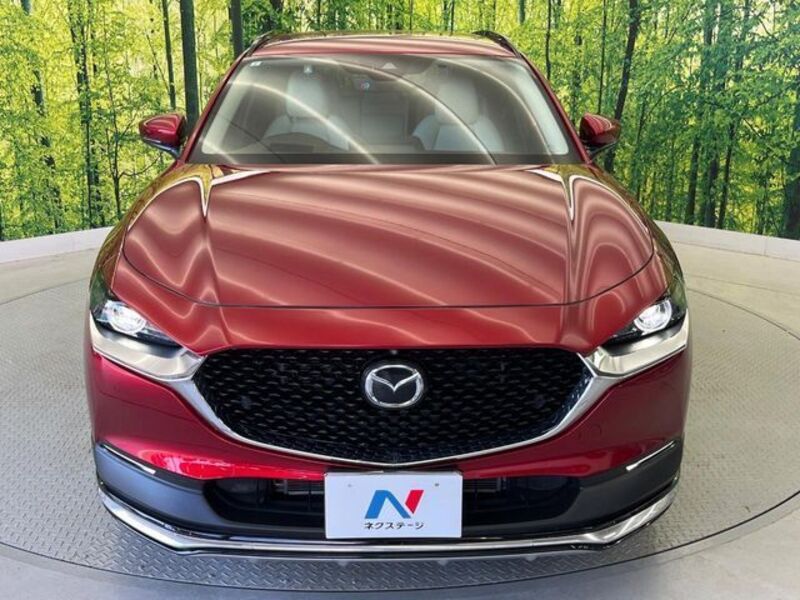 CX-30