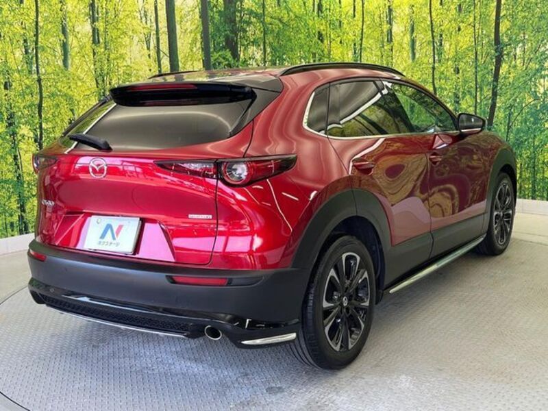 CX-30