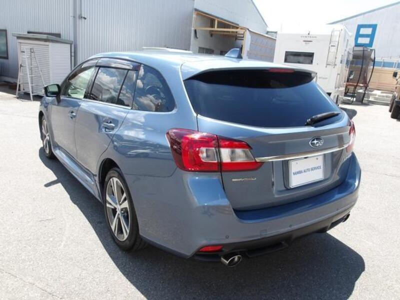LEVORG