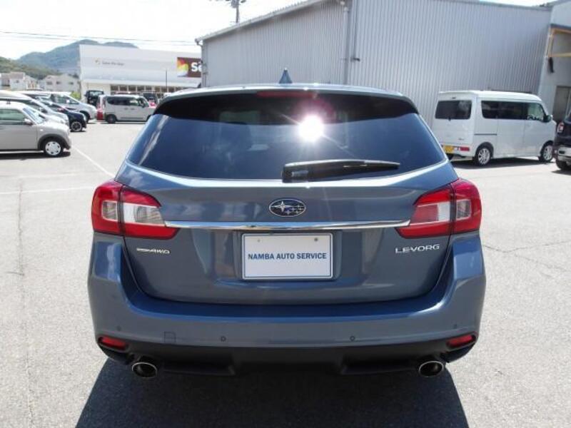 LEVORG