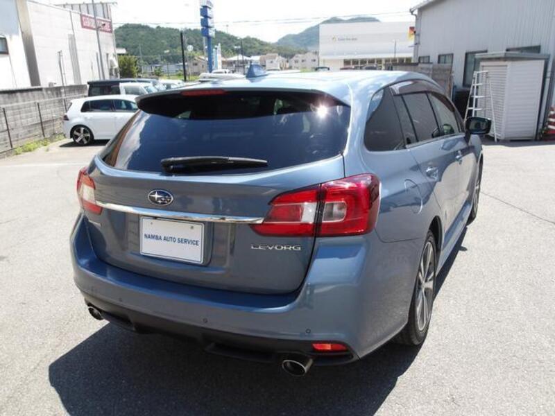 LEVORG