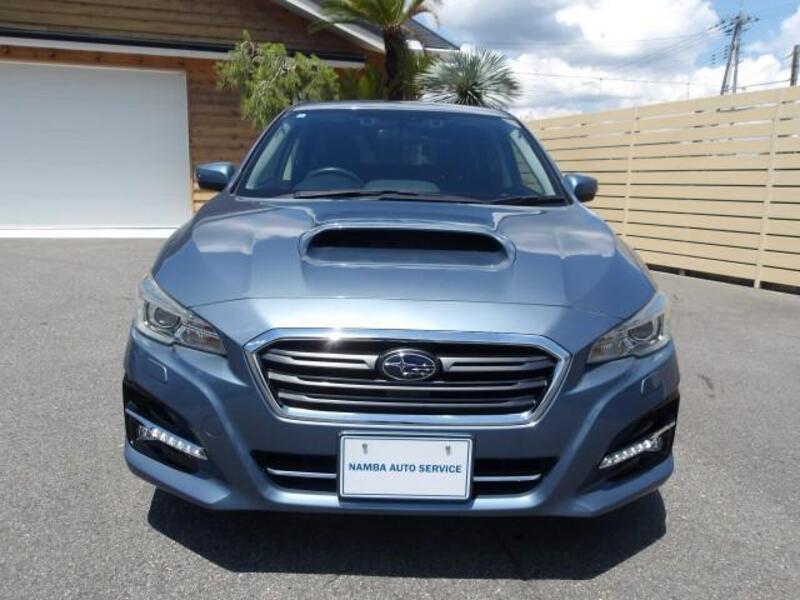 LEVORG