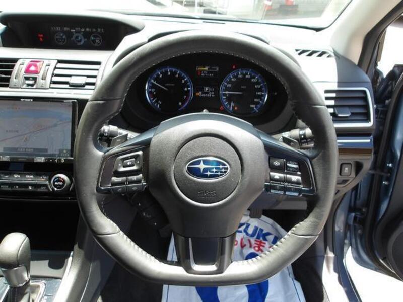 LEVORG