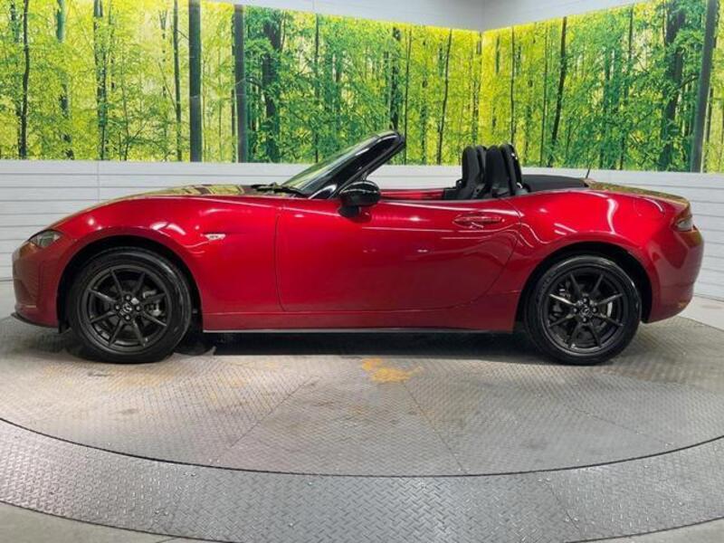 ROADSTER