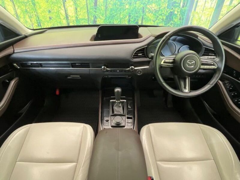 CX-30