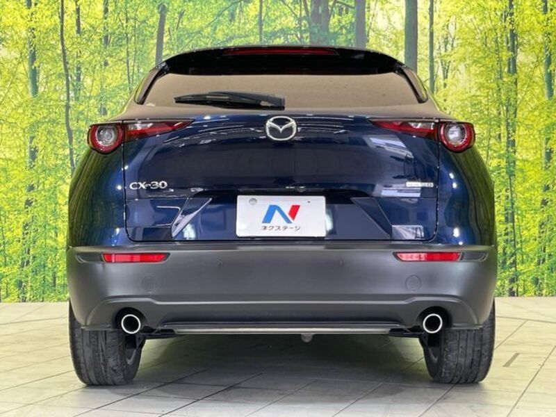 CX-30