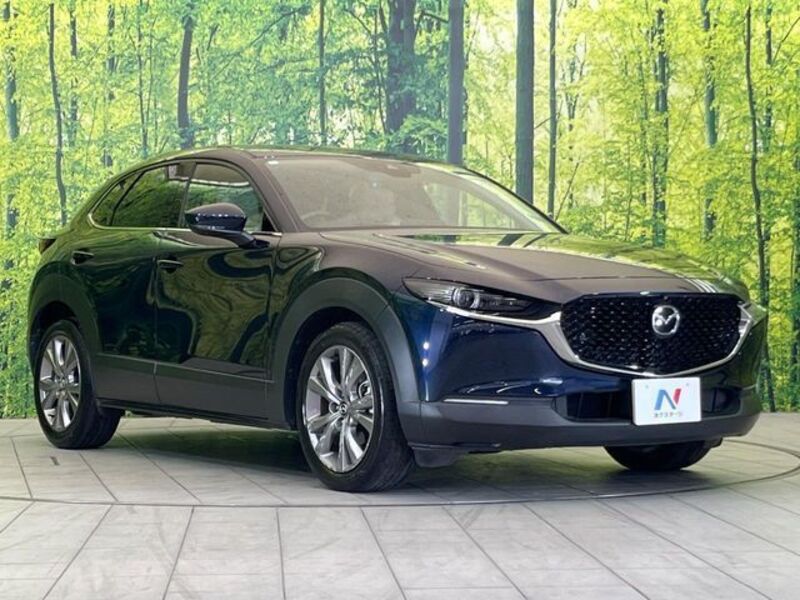 CX-30