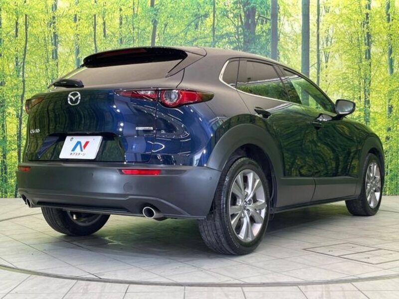 CX-30