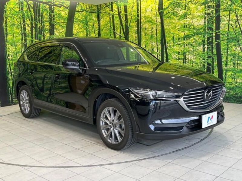 CX-8