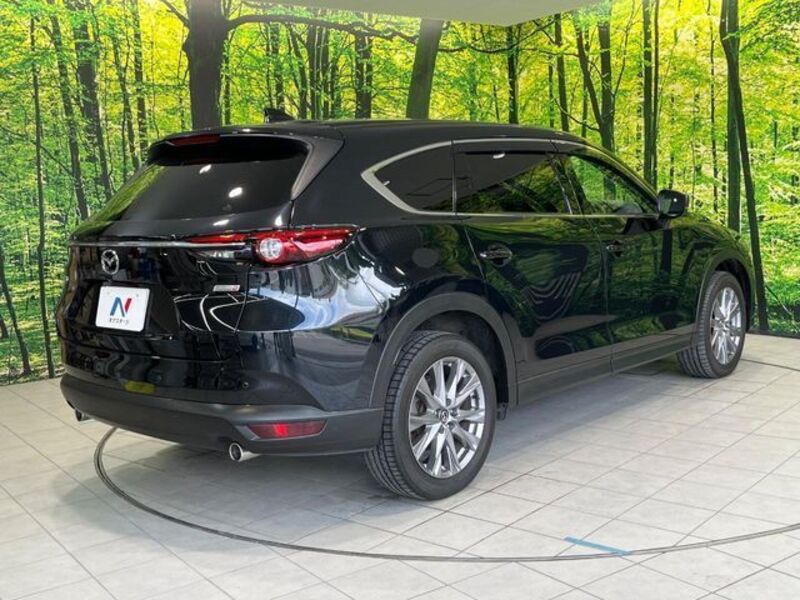 CX-8