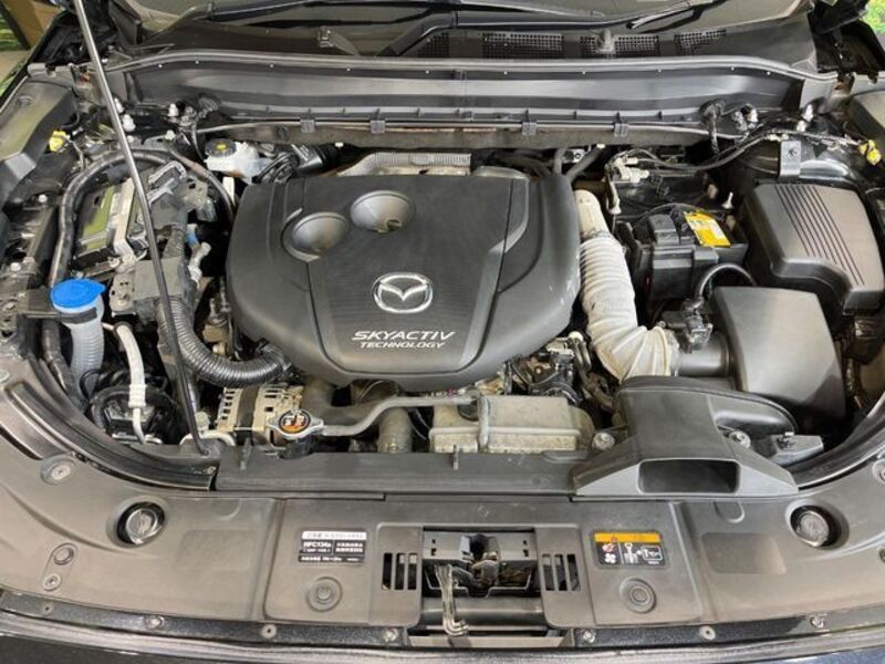 CX-8
