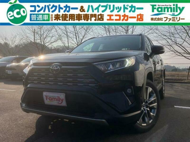 TOYOTA RAV4