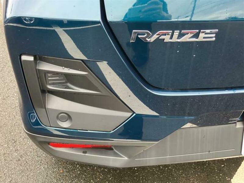 RAIZE
