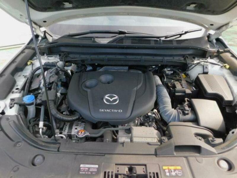 CX-8