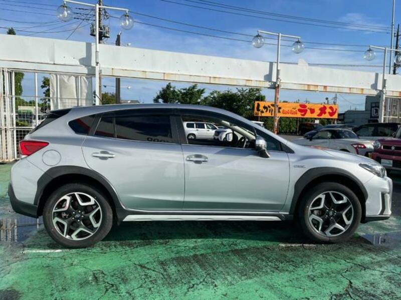XV