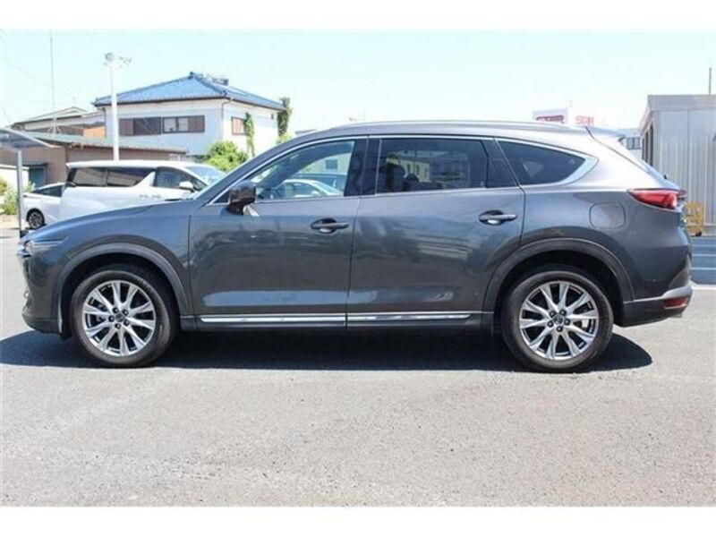CX-8