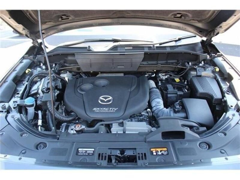 CX-8
