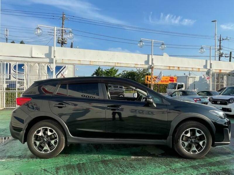 XV