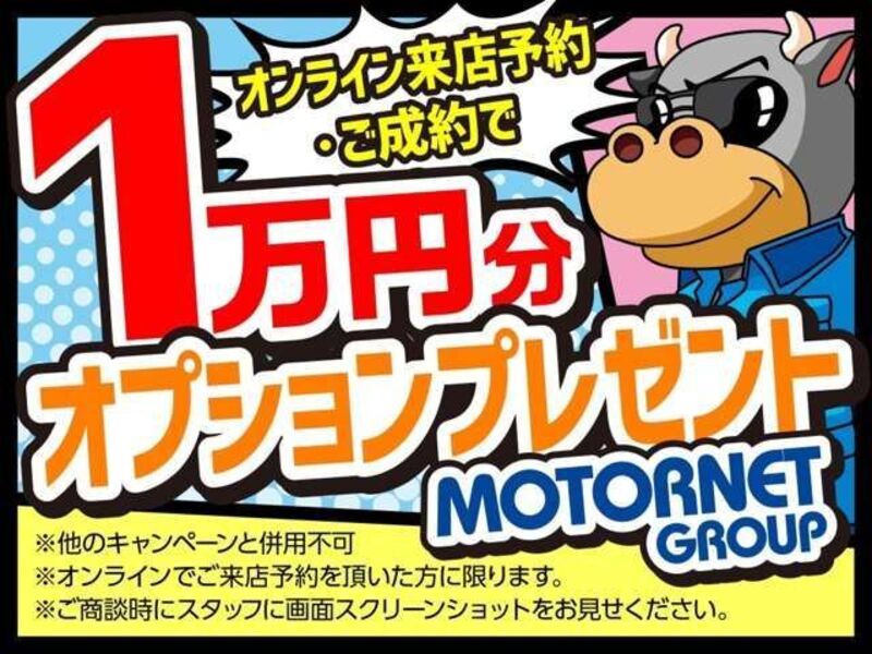 SOLIO BANDIT