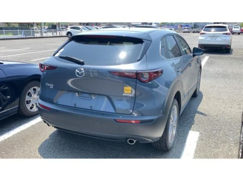 CX-30