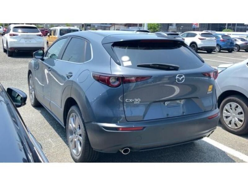 CX-30