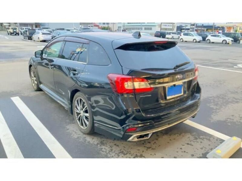 LEVORG
