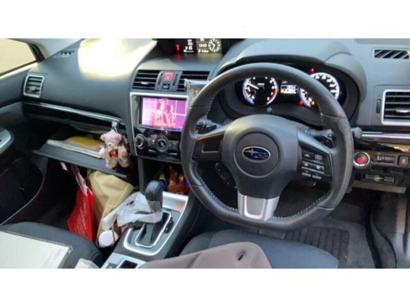 LEVORG