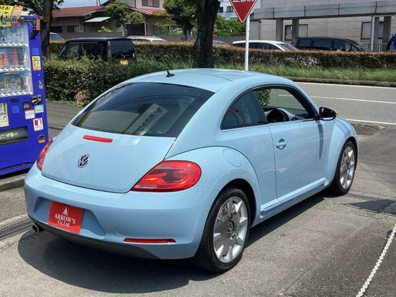 THE BEETLE