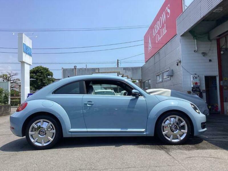 THE BEETLE