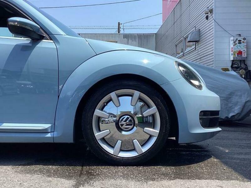 THE BEETLE